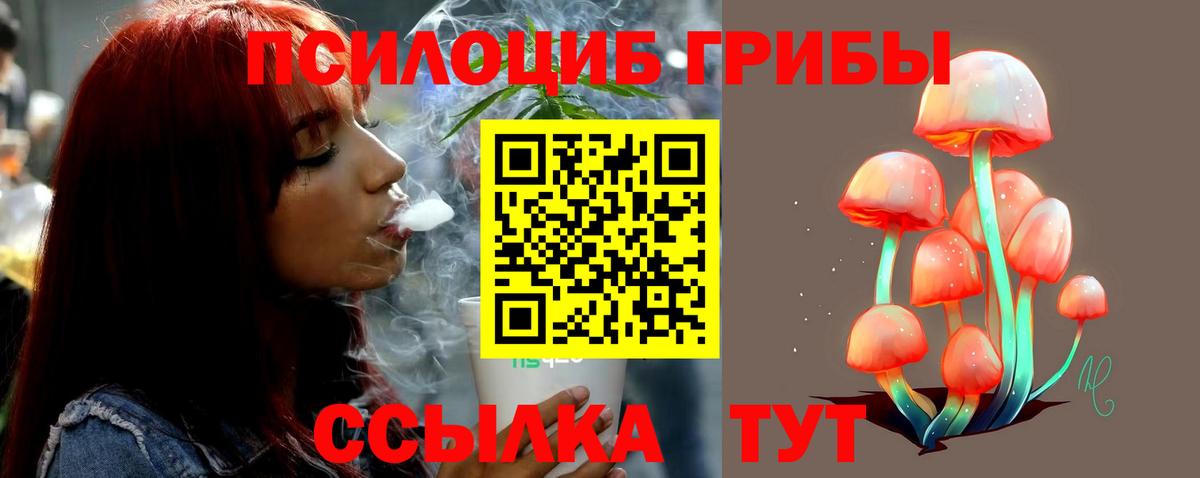 Псков  купить наркотик  Псилоцибиновые грибы прущие грибы  Вход с VPN  Галлюциногенные грибы прущие грибы 